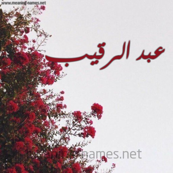 شكل 18 صوره الورد الأحمر للإسم بخط رقعة صورة اسم عبد الرقيب ABD-ALRQIB